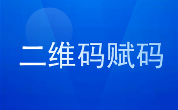 二维码赋码方式及适应场景概述