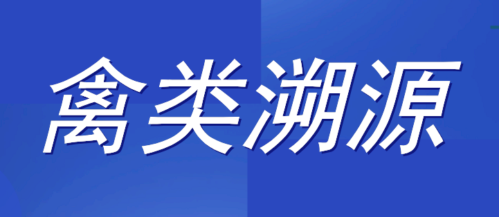 禽类做追溯管理系统的重要性和必要性