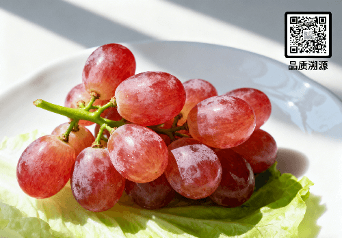 当每一口食物都带着 “身份证”，安全感原来可以如此具体