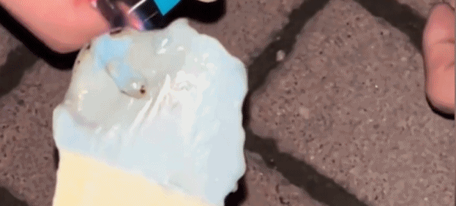 2.gif